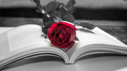 a könyv világnapja